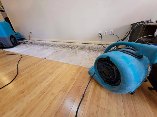 Professional Burst Pipe Water Damage technician working in Beulaville, NC